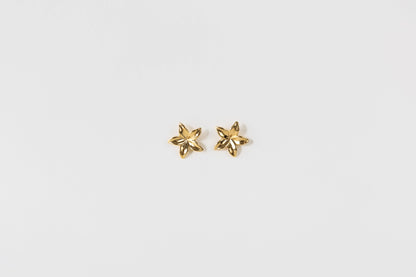 Oorbellen O001 goud