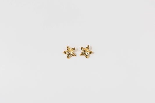 Oorbellen O001 goud